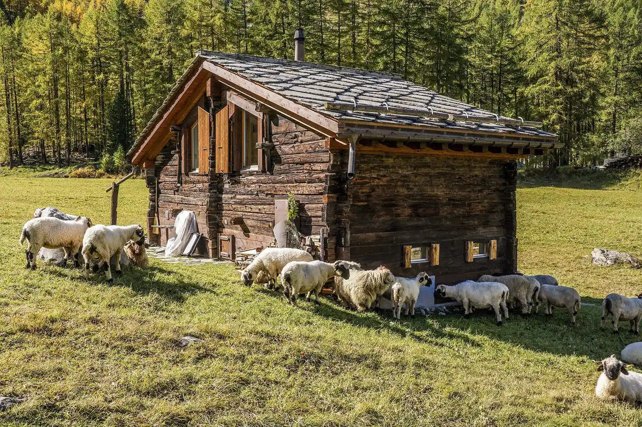 Gîte à la ferme dans la campagne suisse